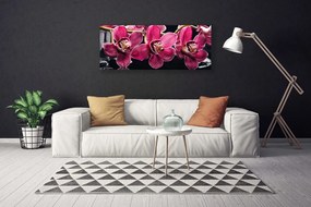 Obraz Canvas Kwiaty Orchidea Pędy Natura