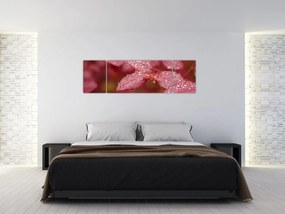 Obraz - Obraz biletu w trybie makro (170x50 cm)