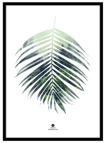 Obraz 50x70 cm Palm Leaf – Malerifabrikken