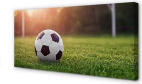 Obraz na płótnie Stadionowe Emocje Pod Bramką