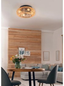 Brązowa lampa sufitowa ze zdalnym sterowaniem/z wentylatorem Lillesand – Trio