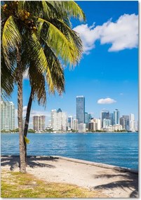 Foto obraz szkło akryl pionowy Miami