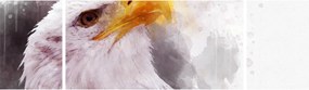 Obraz orła (170x50 cm)