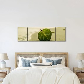 Obraz liścia w piasku (170x50 cm)