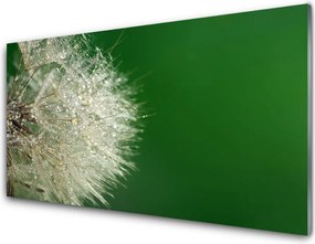 Szkło do Kuchni na Ścianę Puszysty Mniszek Lekarski