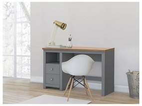 Biurko z blatem w dekorze dębu 50x120 cm Emerald – Støraa