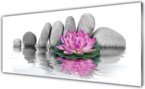 Panel Szklany do Kuchni Balans Natury: Kwiat i Skała