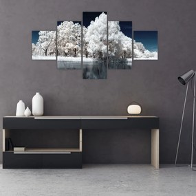 Obraz - Śnieżnobiałe drzewa (125x70 cm)