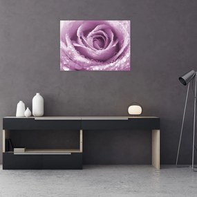 Obraz szczegółu kwiatu róży (70x50 cm)