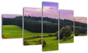 Obraz łąki (125x70 cm)