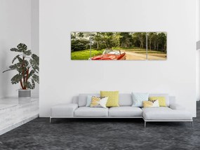 Obraz - zabytkowy samochód w przyrodzie (170x50 cm)