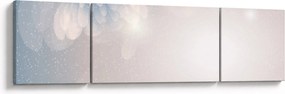 Obraz - Zaśnieżone kwiaty (170x50 cm)