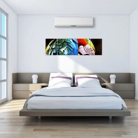 Obraz - Papuga (170x50 cm)