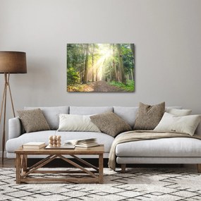 Obraz ścieżki w lesie (70x50 cm)