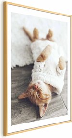 Plakat Leniwy kot 60x90 cm z ramą złotą z marginesem ARTGEIST B
