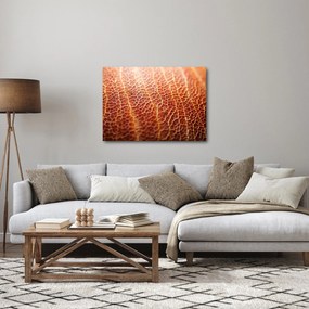 Obraz - Szczegóły tekstury (70x50 cm)