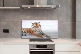 Panel szklany do Kuchni Tygrys Syberyjski w Śniegu