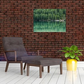 Obraz na szkle - drzewa iglaste nad jeziorem (70x50 cm)