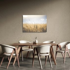 Obraz na szkle ziarna (70x50 cm)