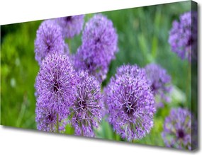 Obraz canvas Fioletowa Łąka Kwiatowa