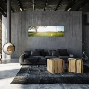 Obraz drzewa na polu (170x50 cm)