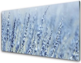 Szkło do Kuchni na Ścianę Złote Kłosy na Łące