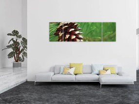 Obraz szyszki (170x50 cm)