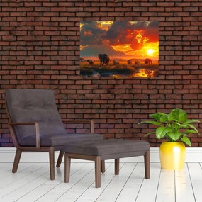 Obraz - Stado słoni (70x50 cm)