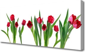 Duży obraz na płótnie Barwna Kompozycja Tulipanów