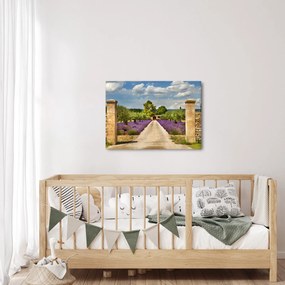 Obraz - Lawendowe ścieżki (70x50 cm)