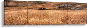 Obraz pola (170x50 cm)