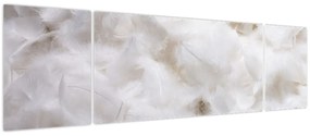 Obraz - Białe pióra (170x50 cm)