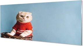 Panel Szklany Portret Siedzącego Kota