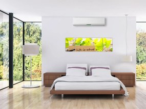 Obraz - Cytat (170x50 cm)