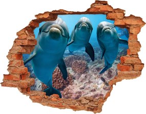 Fototapeta dziura na ścianę Delfiny
