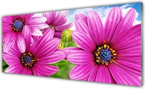 Szkło Ozdobne do Kuchni Bukiet Letnich Kwiatów