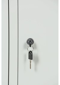 Szafka skrytkowa S1, 2 schowki, 1850 x 300 x 500 mm, zamek cylindryczny, drzwi zielone