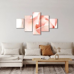 Obraz - Róża (125x70 cm)