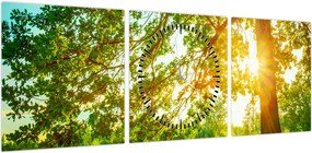 Obraz - Słoneczny Las (z zegarem) (90x30 cm)