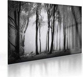 Obraz na szkle - Wilk w ciemnym lesie (70x50 cm)