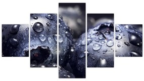 Obraz owoców z kroplami wody (125x70 cm)