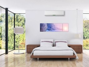Obraz - Zamarznięta rzeka (170x50 cm)