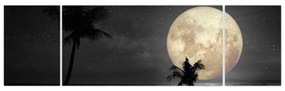 Obraz - Plaża pod pełnią księżyca w odcieniach szarości (170x50 cm)