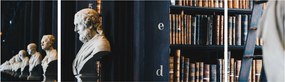 Obraz - W bibliotece (170x50 cm)