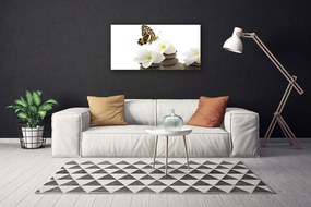 Zdjęcie na płótnie Motyl na Kamiennej Orchidei