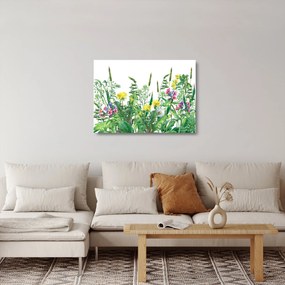 Obraz na szkle - Malowane kwiaty łąkowe (70x50 cm)
