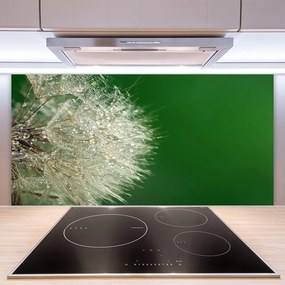 Szkło do Kuchni na Ścianę Puszysty Mniszek Lekarski