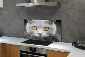 Panel Szklany Dostojny Szary Kot Brytyjski