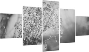 Obraz - Łąka po deszczu (125x70 cm)