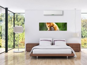 Obraz małp (170x50 cm)